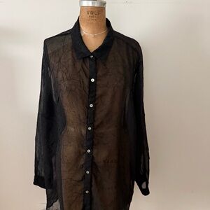 Sheer Black Button-Front Blouse